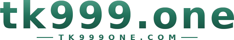 tk999.one logo